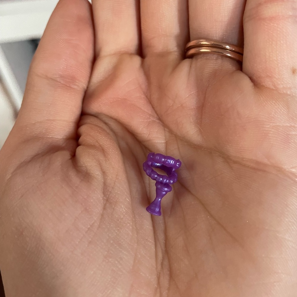 Monster high accessory